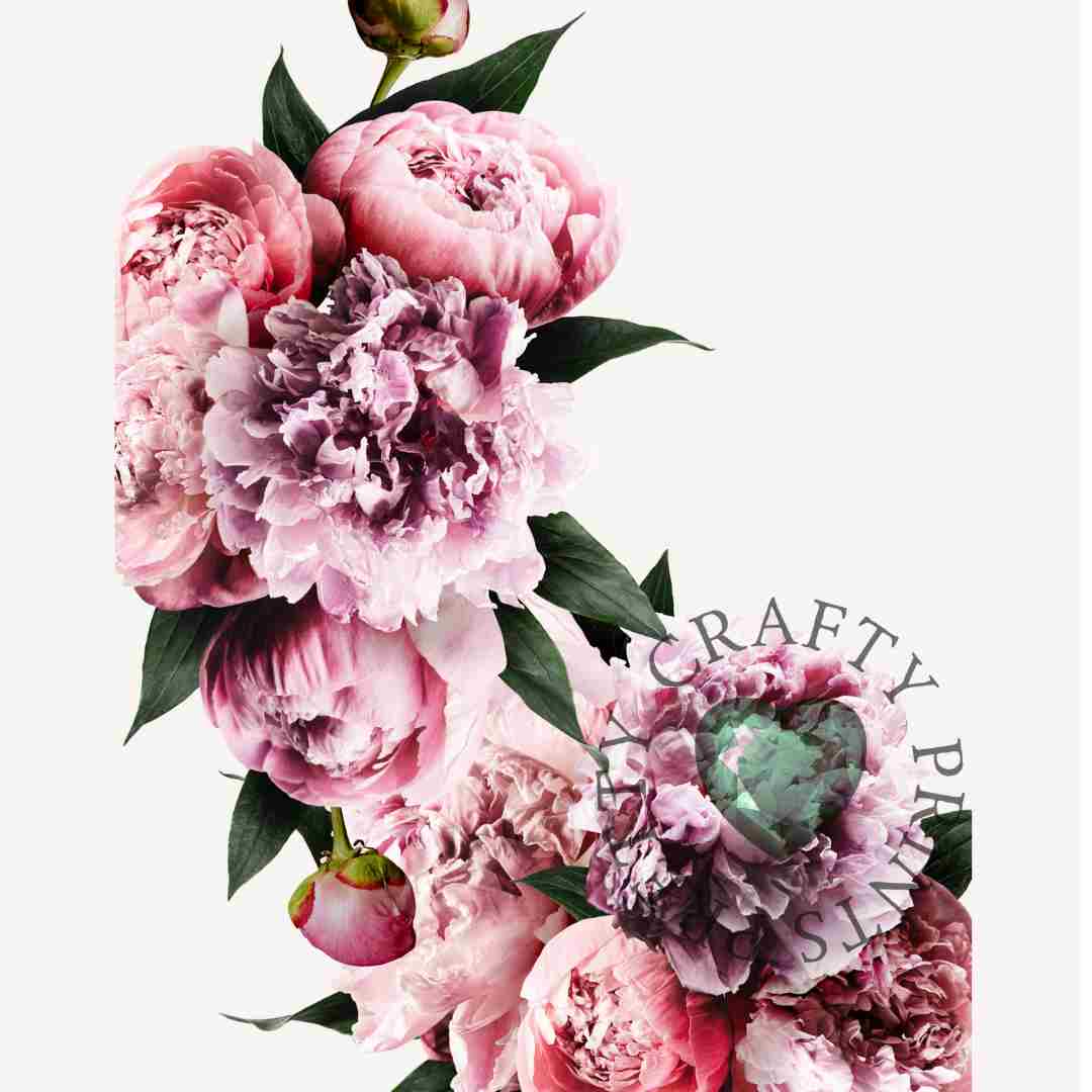 SATIN PEONIE LARGE DECAL