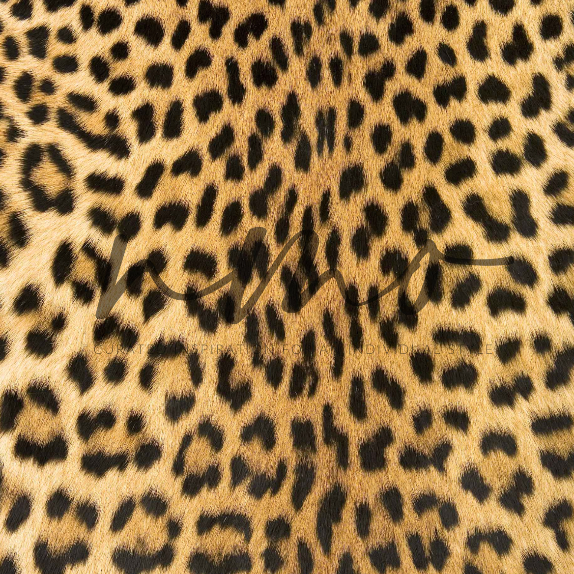 AFRICAN LEOPARD