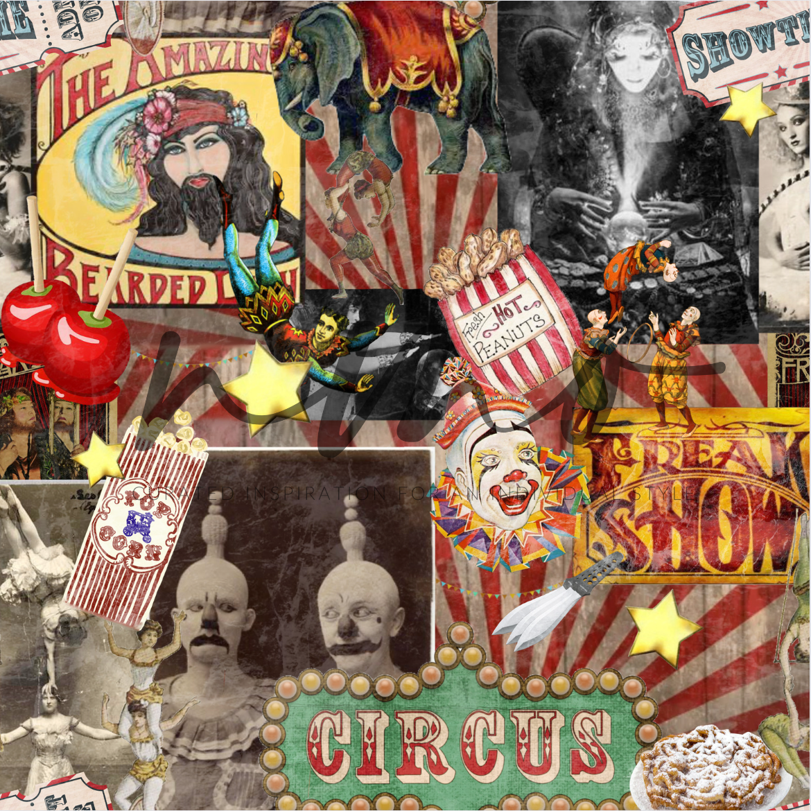 CIRCUS