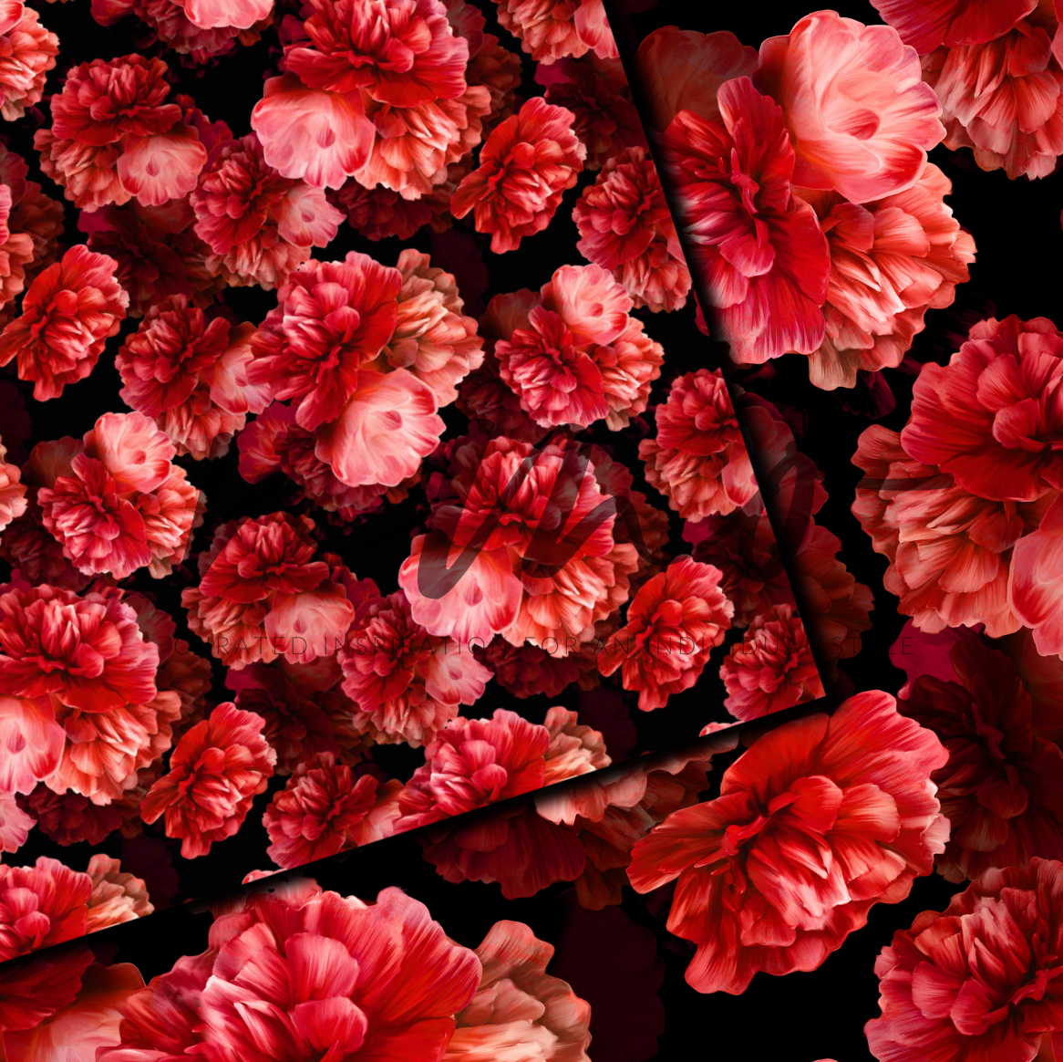 RED PEONIES