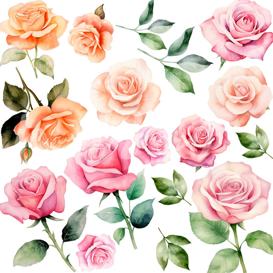 SPRING ROSE